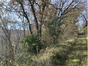 foret à la vente -   47270  SAINT PIERRE DE CLAIRAC, surface 40170 m2 vente foret - UBI451123445